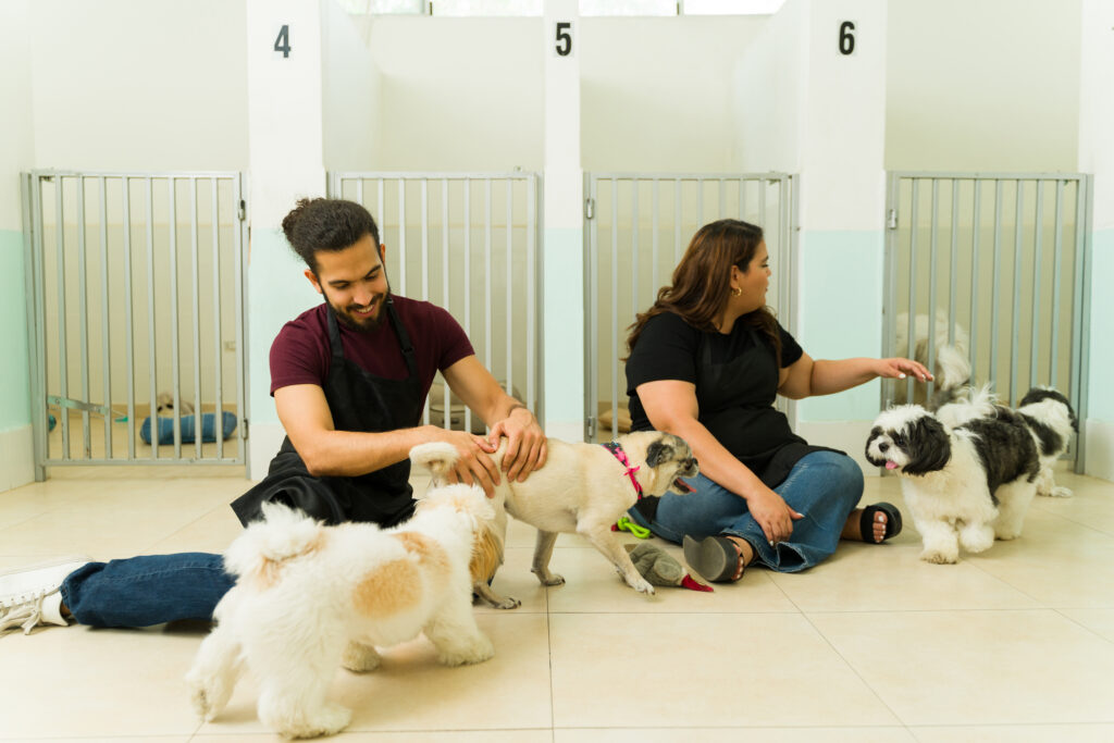 Dog-daycare-cleveland